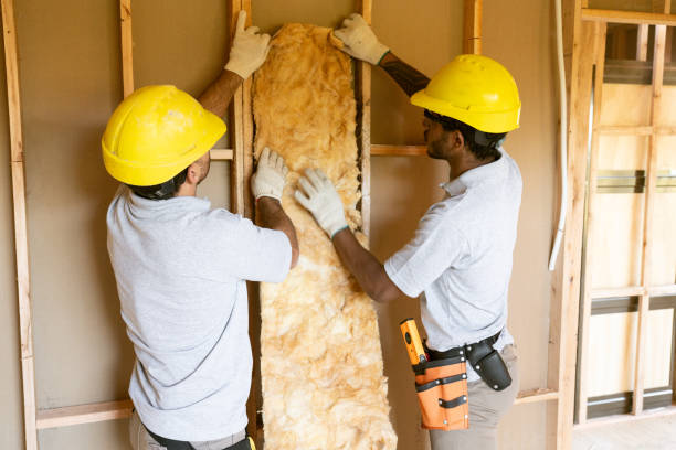 Best Wall Insulation Contractor  in USA